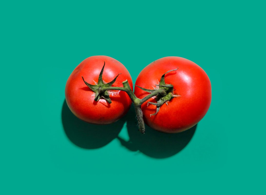 Tomatoes rich in lycopene